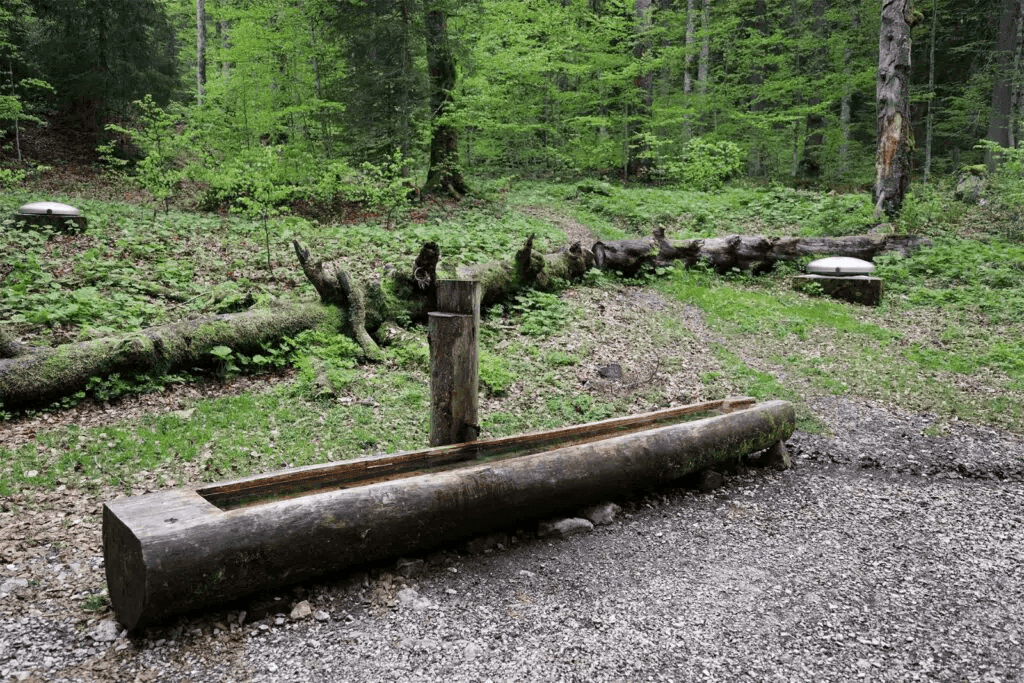 La Fontaine Froide au Creux du Van