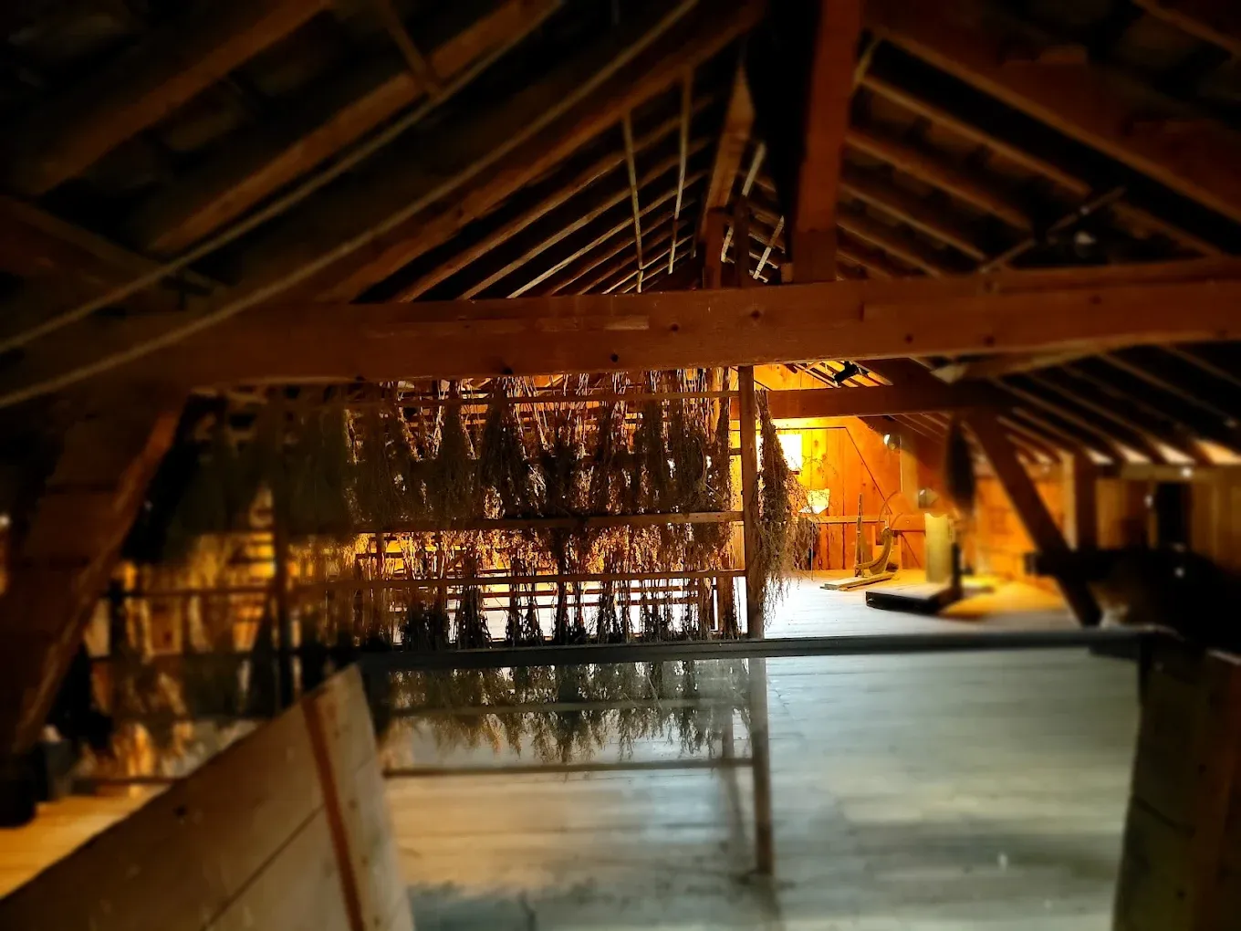Related photo 1 of Absinthe Drying House