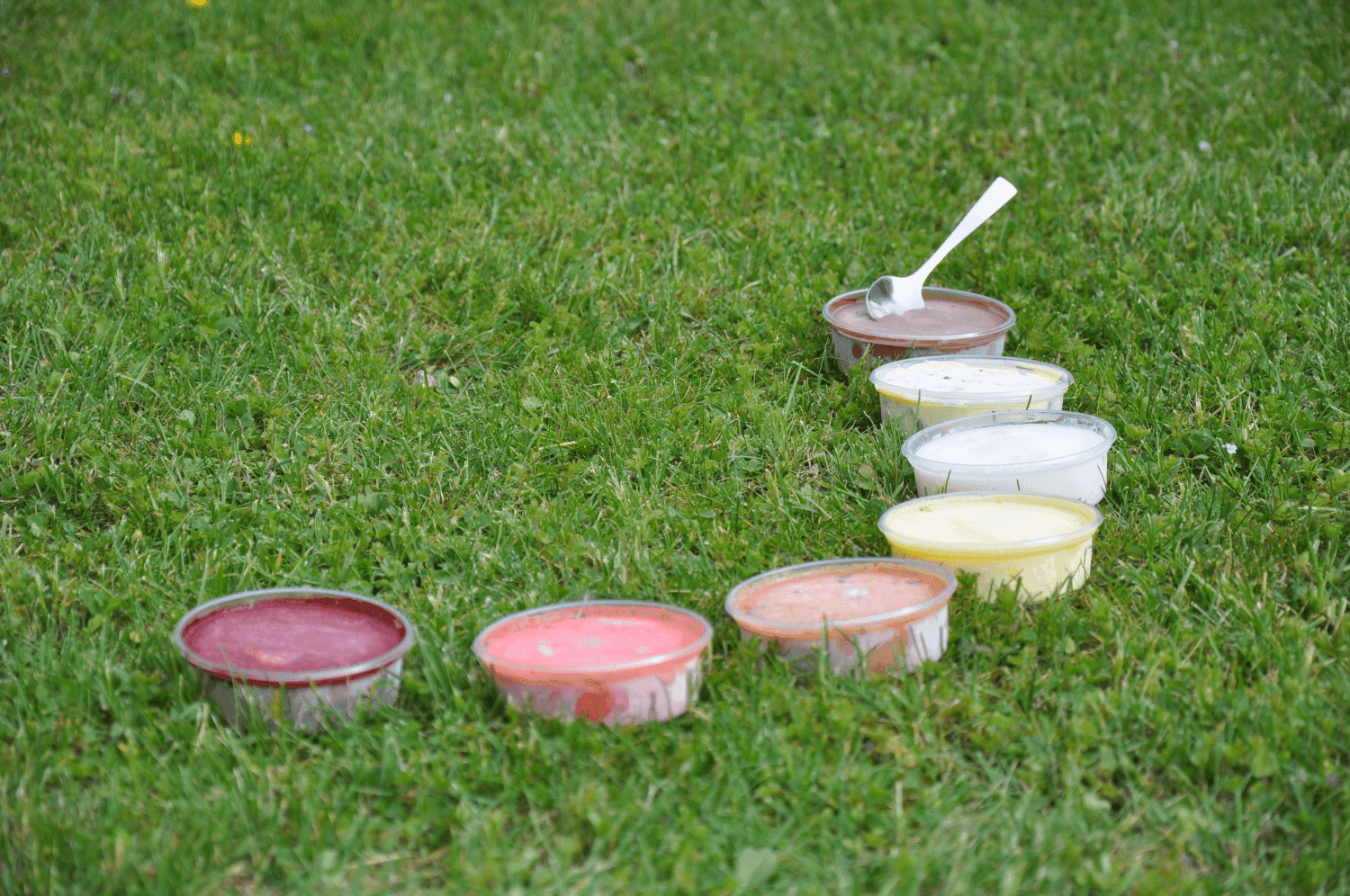 Related photo 5 of Glace de la Ferme