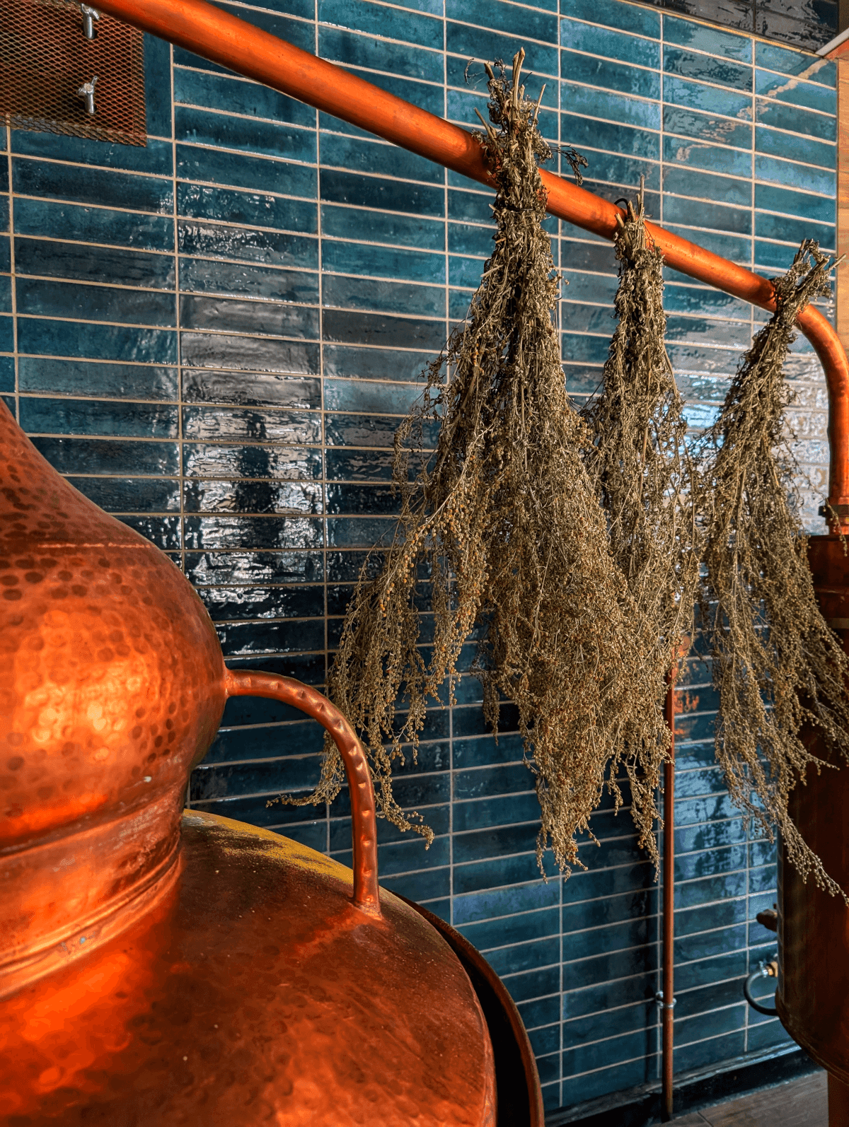 Related photo 7 of Distillerie Montrieux