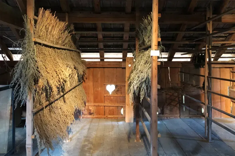 Related photo 2 of Absinthe Drying House